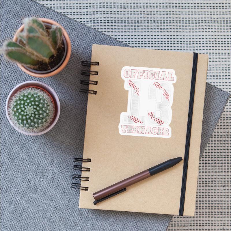 13th Birthday Boy Party Baseball Teenage