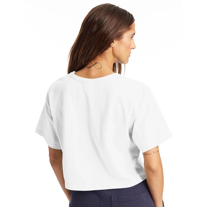 Cute Cat Look Happy Sweet Little Smile Sitting Pet