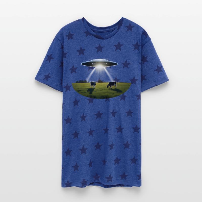 A UFO hovers over a meadow