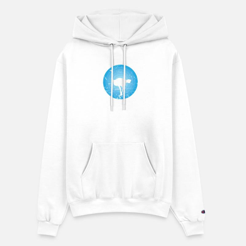 Bird Ostrich fast large Bird