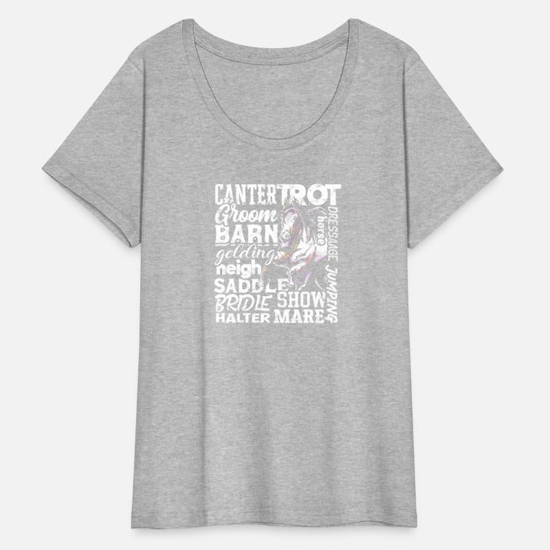 Cantertrot Groom Barn Dressage Neigh Horse