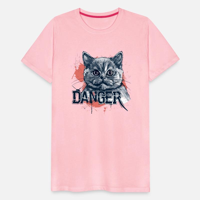 Dangerous British Shorthair